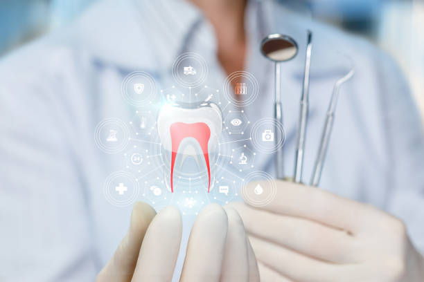 Best Emergency Dental Care  in Plum Grove, TX